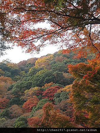 6bavmFsJHxkkKpacBESokQ.jpg 6bavmFsJHxkkKpacBESokQ.jpg