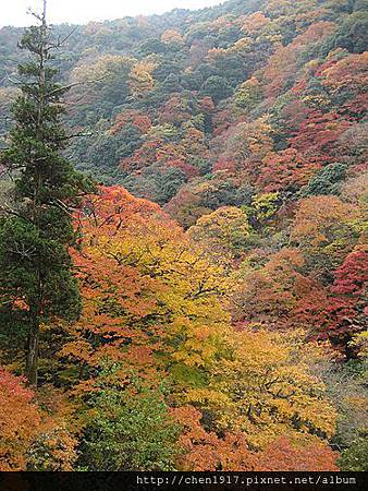 gxIHKU1Ud5uLSilqj8XiUg.jpg gxIHKU1Ud5uLSilqj8XiUg.jpg