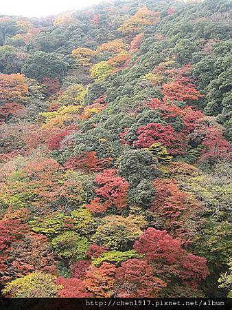 M3FkJmJjT72K2p1Z4IpqsQ.jpg M3FkJmJjT72K2p1Z4IpqsQ.jpg