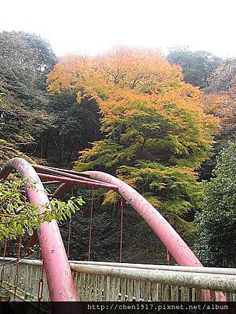 m8bo_SlG84oKpEJCu99W2A.jpg m8bo_SlG84oKpEJCu99W2A.jpg