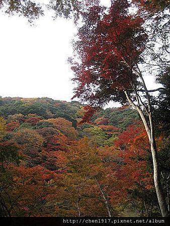 MZit5FUUhhxcFxaSEkGQqw.jpg MZit5FUUhhxcFxaSEkGQqw.jpg