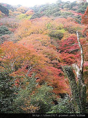 AME9Rk3oDreO3OP92bSU4A.jpg AME9Rk3oDreO3OP92bSU4A.jpg