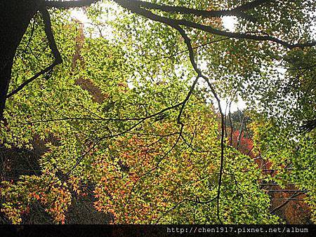 WDuH4wDz7RVNGmP2WVy1_Q.jpg WDuH4wDz7RVNGmP2WVy1_Q.jpg