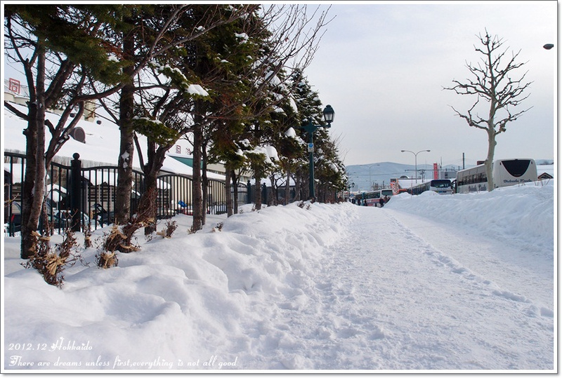 【白色聖誕節之北海道】浪漫小樽運河♥四季皆美好羅曼蒂克呀~ - 第39張圖