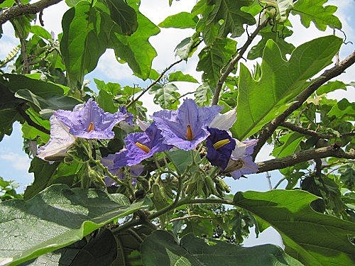 LHHYJ4WhhjFPeS58bYW.bg[1]