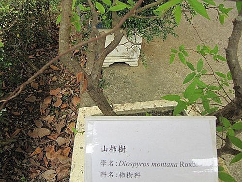 rzDnv7n_6BN2aOpsEYHoxA[1]