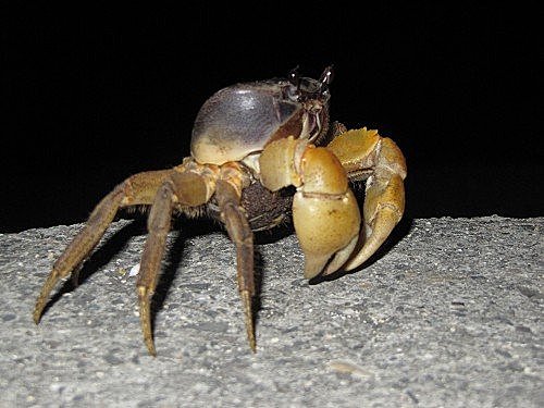 eJO24P0e.nTQv_prmCluhw[1]