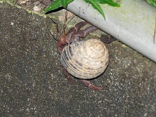 D.fAWzUGpc80bSYCbLY_Tw[1]