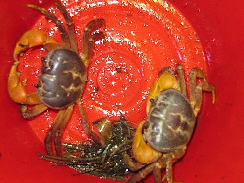 cz9UrFV.OKUP2pXJzEncRQ[1]