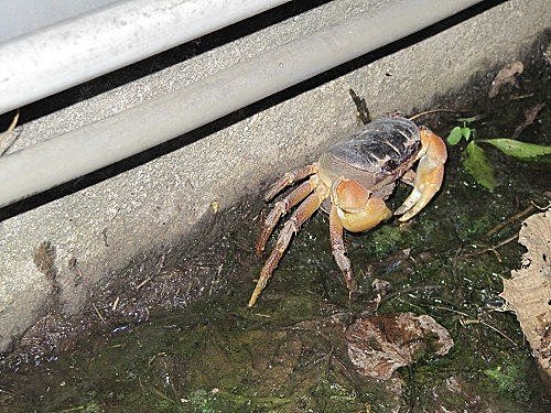 FEm6P13ugHEuLhLpR8abRQ[1]