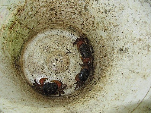 jMZc3KRP3xTV2pk8TNDNuw[1]