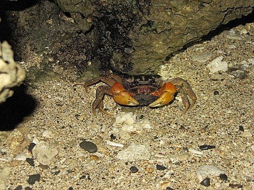 iowekE0j8ThoSiaudc0xyQ[1]