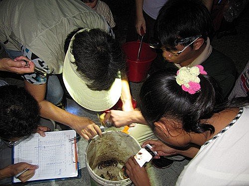 p7H3NAa_AqCzgWi5K9D00w[1]