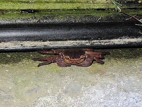 JPbqf6muctcYbl65GshFSw[1]