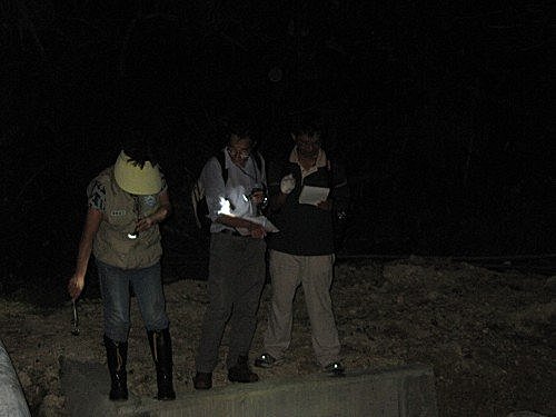 RnqiHZWOW9hYDpG5AnYOgA[1]