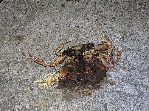 S9xG6PEXZLMNC.5QmhgLuw[1]