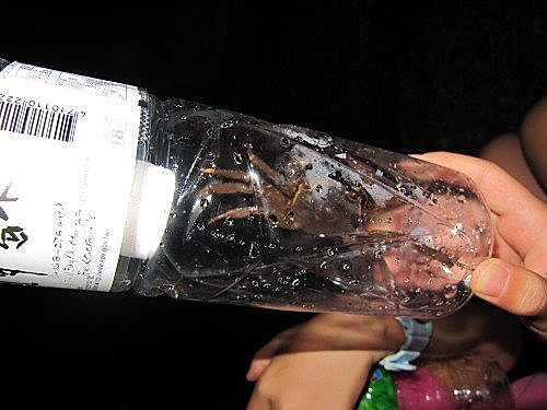 UqITFgJFcB0HWiMfEnvpeQ[1]