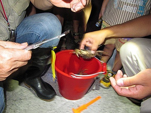 uBt.hqEkqRx11LliZfrAfQ[1]