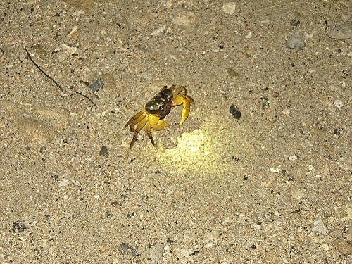 Xg2YBMztqjJk_lU_VuO1tw[1]