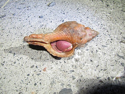 y4eC4k_YpAH6eAUDPT8NYA[1]