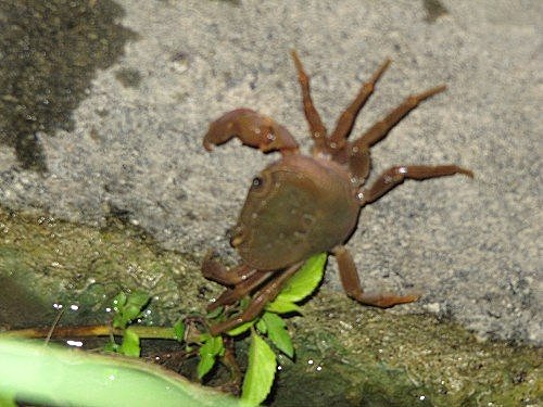 zJ769LgfTF_KNldsaqbrtA[1]