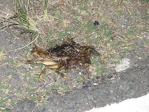 zlb_qgNiuIg8j4qGqZgdjw[1]