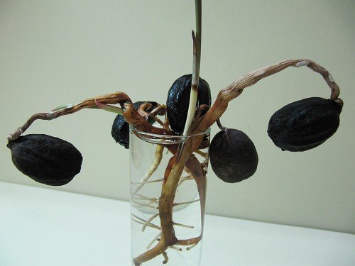 AdfGUtaTCdf3zOGas8h_pA[1]