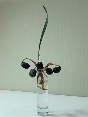 CYxmiU4a7FvjGdItBfZLCg[1]