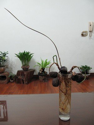 mcRMokMwP.aibKcUeEGq1g[1]