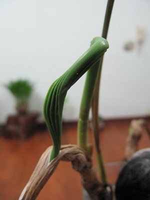 I2cCoqgFEhyzHRb3mhHxdg[1]