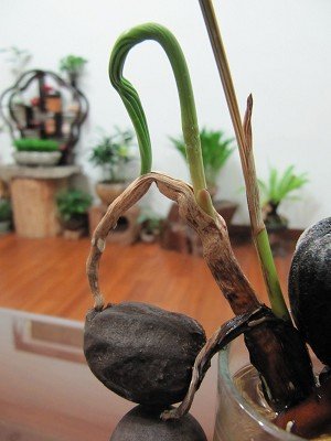 YY8FclsuDLOL3eD5uDAG3Q[1]