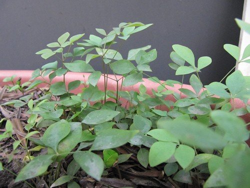 v.huUjB5iEztIB01Nizg6g[1]