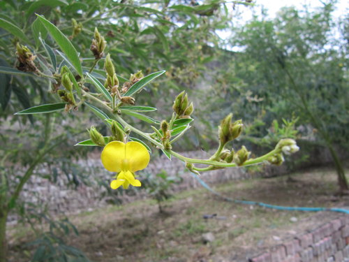 3wtrOIulHFD5561GcrnSYw[1]