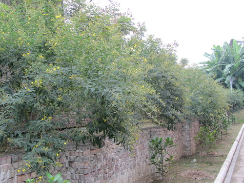 6QqbCn7SUNb03_QVoAsOUg[1]