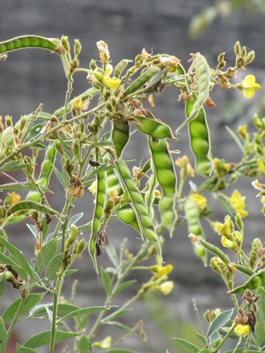 b94_KM1_SqYTA6BEg32X5w[1]