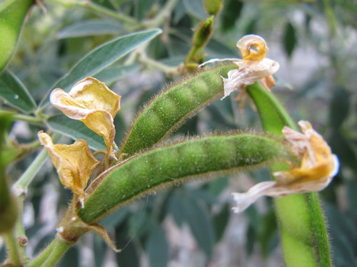 7.enggQganoU1gght83yjA[1]