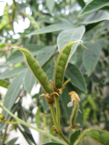 D16bzvZRC2MutzVKrhnhFg[1]