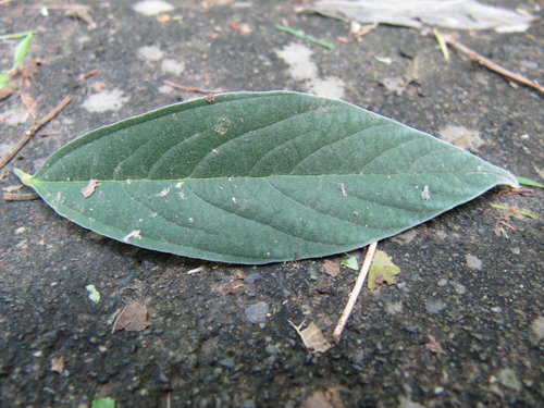 dQ05Ki3.kN7aUqmpd0CU3A[1]