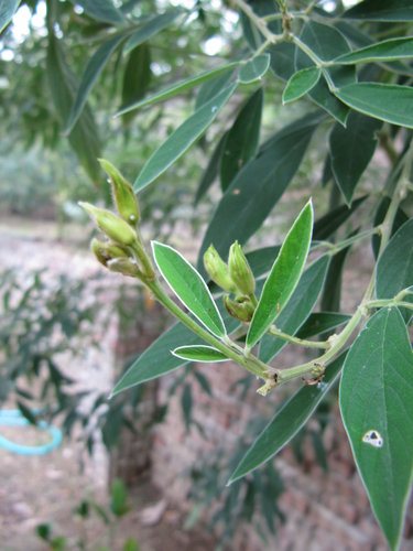 GsYGBl6hrndBk6lPIxqFQA[1]