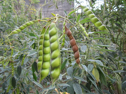 M8U5hs8CHlzwolEUOlIRiQ[1]