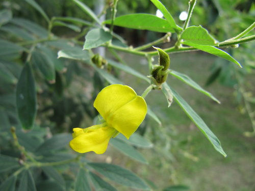 MAjxQ5crfGPjrDOXmKQqvw[1]