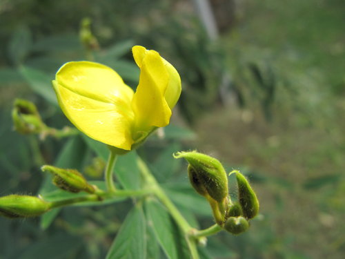 p_KlRif0g_n7peMqx7fndw[1]