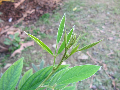 Qzm2mR3NAvNAaW9ObEGXBA[1]