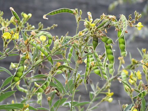 revoKPHkvAslBbfsZLyhIQ[1]