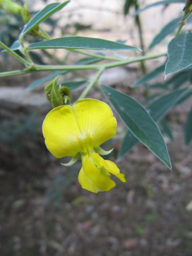 rX74bWW7vsYuzYmRE3hJkw[1]