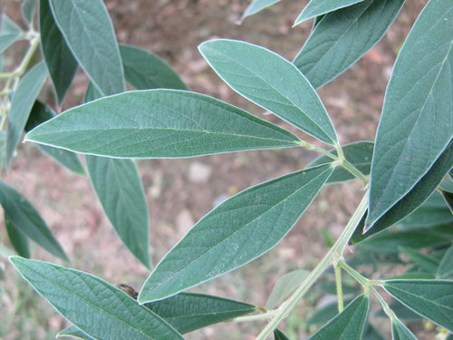 XYPmDwi0KHfWqVLRHyKH5w[1]