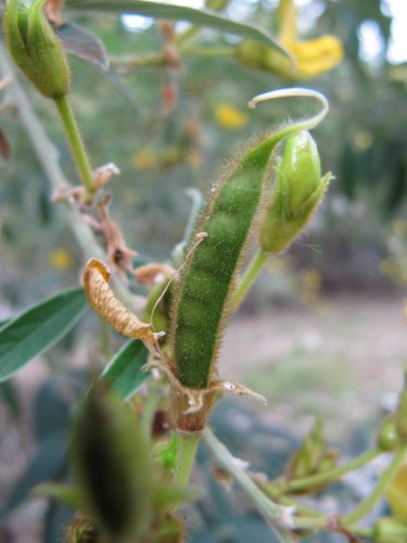 wh6c6fDtIKIP0lO1XmbHcA[1]