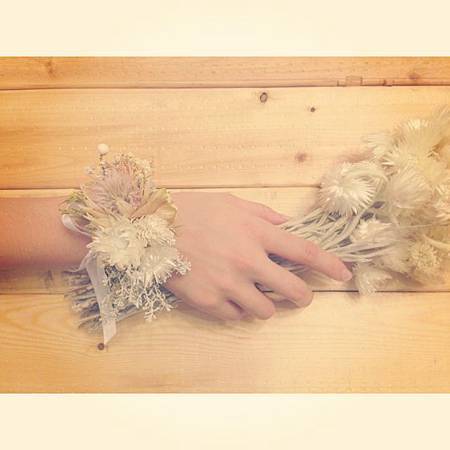 10728794_883783588307559_1258723742_n