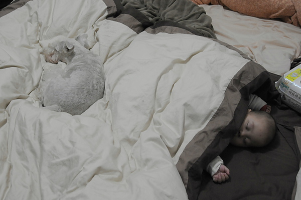 DSC_8135.JPG DSC_8135.JPG