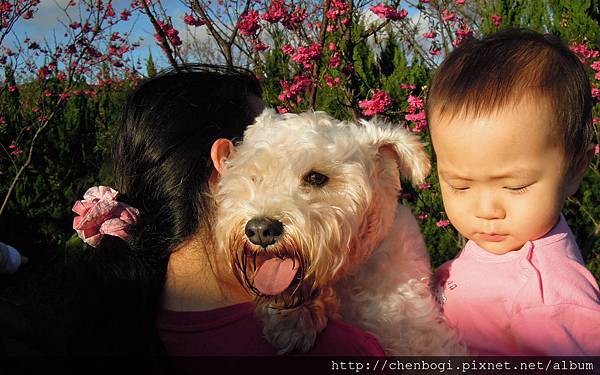 DSCN0698.JPG DSCN0698.JPG